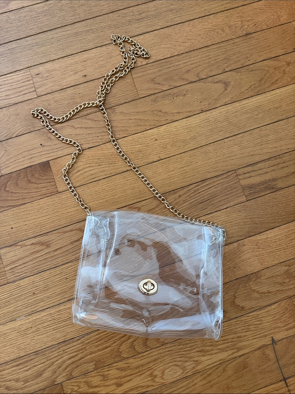 Clear Stadium Bag with Gold hardware